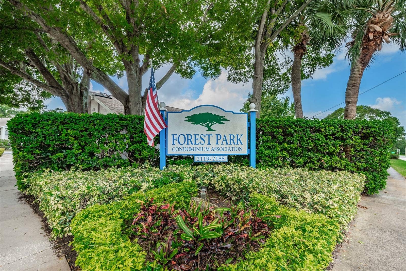 2119 ELM STREET, #103, Dunedin, FL 34698 2119 ELM STREET, #103, Dunedin, FL 34698