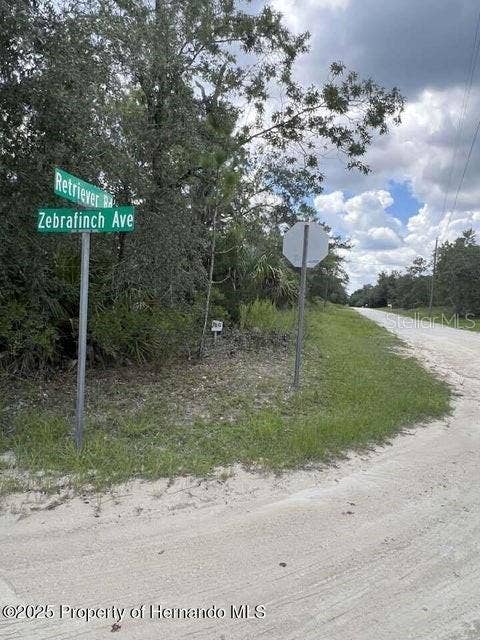 Property photo for 0 ZEBRAFINCH AVENUE, Weeki Wachee, FL