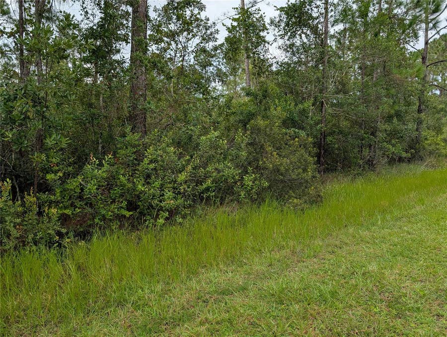 Property photo for 302 PANDORA DRIVE, Indian Lake Estates, FL