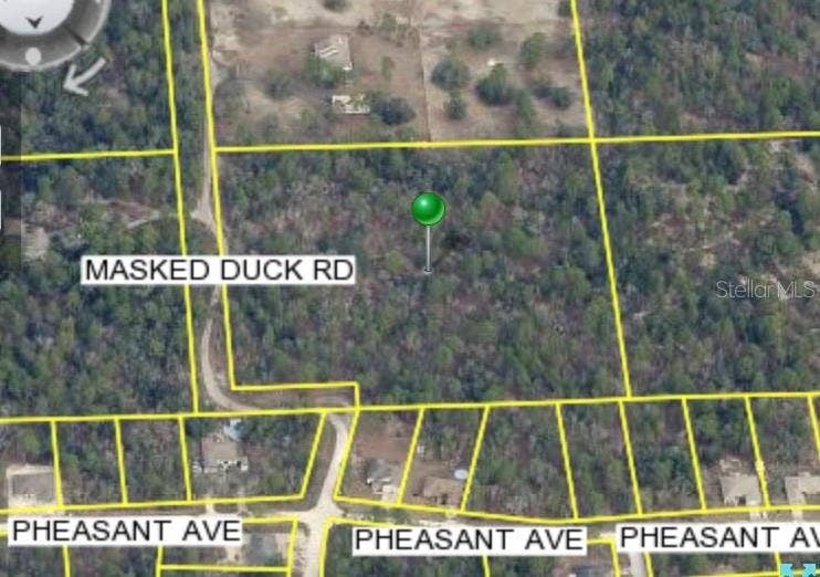 Property photo for MASKED DUCK ROAD, Brooksville, FL