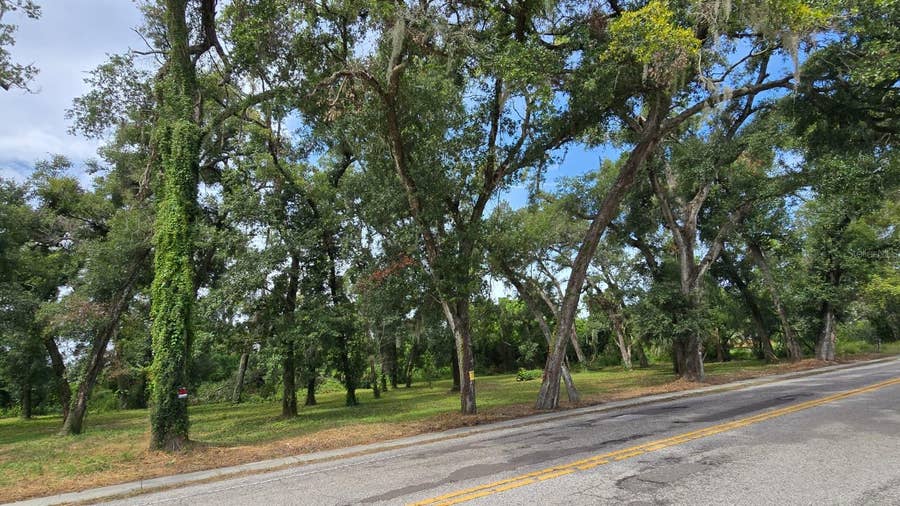 Property photo for 712 LITHIA PINECREST ROAD, Brandon, FL