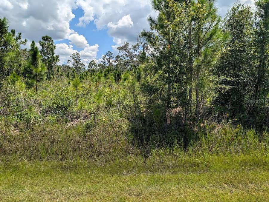 Property photo for 311 HIBISCUS DRIVE, Indian Lake Estates, FL