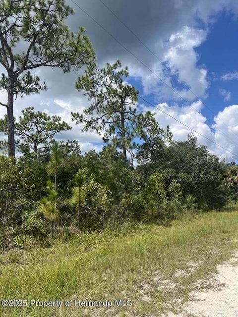 Property photo for 0 0 YELLOW FROG AVENUE, Weeki Wachee, FL