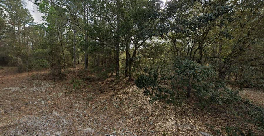 Property photo for 228 14TH STREET, Interlachen, FL