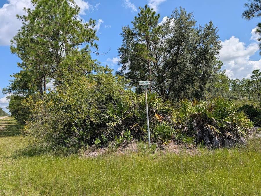 Property photo for 1113 TROPICANA DRIVE, Indian Lake Estates, FL
