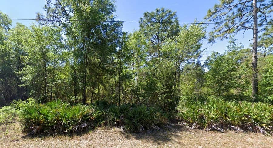 Property photo for 7350 W VILLAGE DRIVE, Homosassa, FL