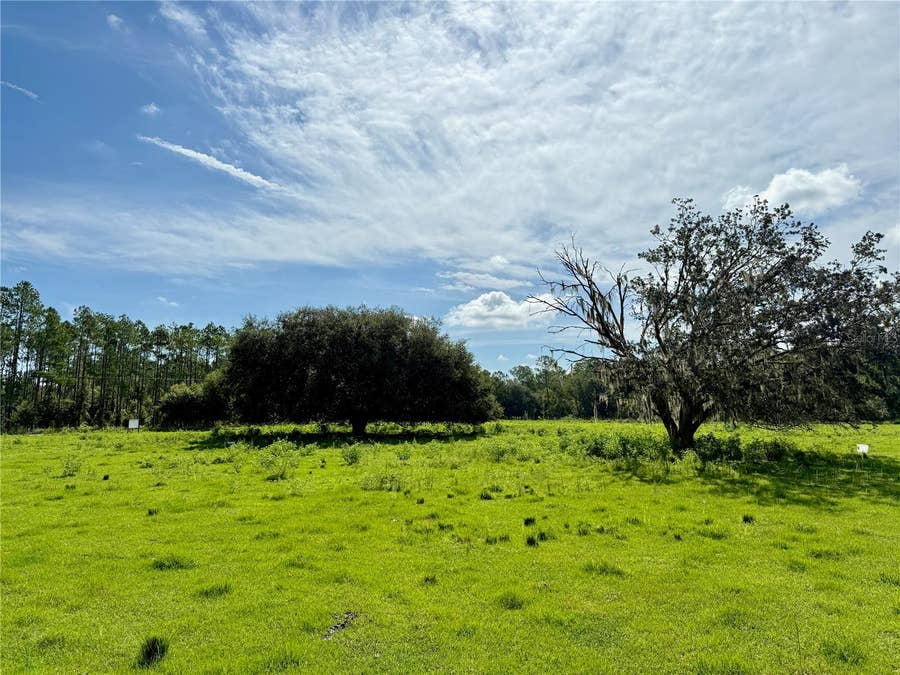 Property photo for 10460 EHREN CUTOFF, Land O Lakes, FL