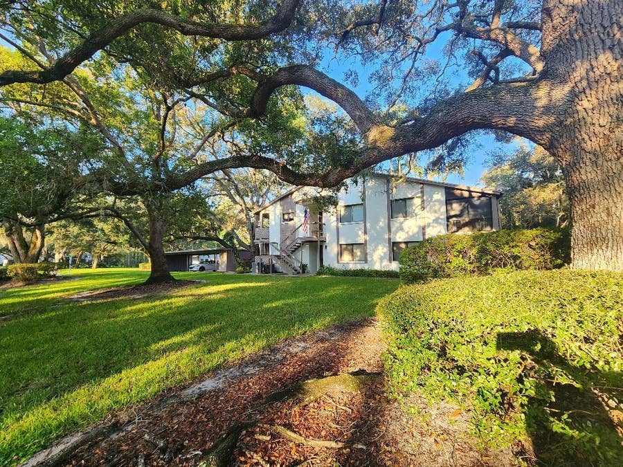 Property photo for 603 BALDWIN AVENUE, #B, Safety Harbor, FL