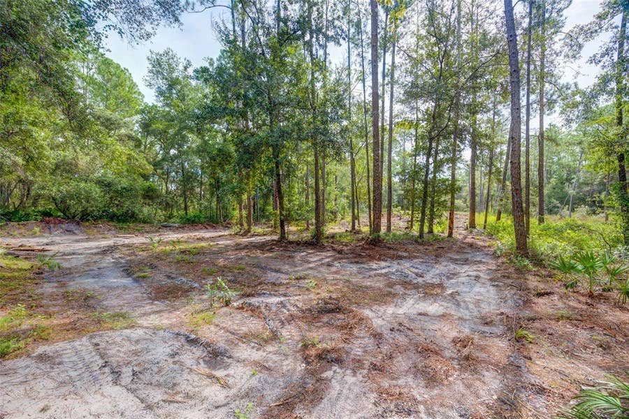 Property photo for 34389 GRINDSTONE DRIVE, Webster, FL