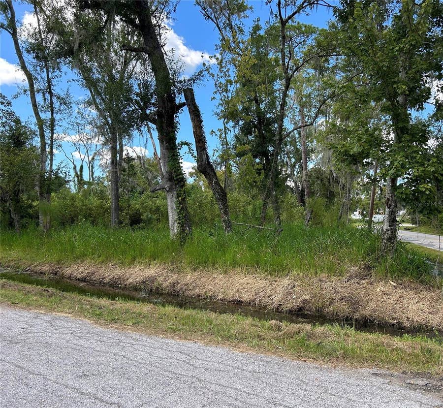 Property photo for SEMINOLE LAKE BLVD & HICKMAN AVE, Plant City, FL