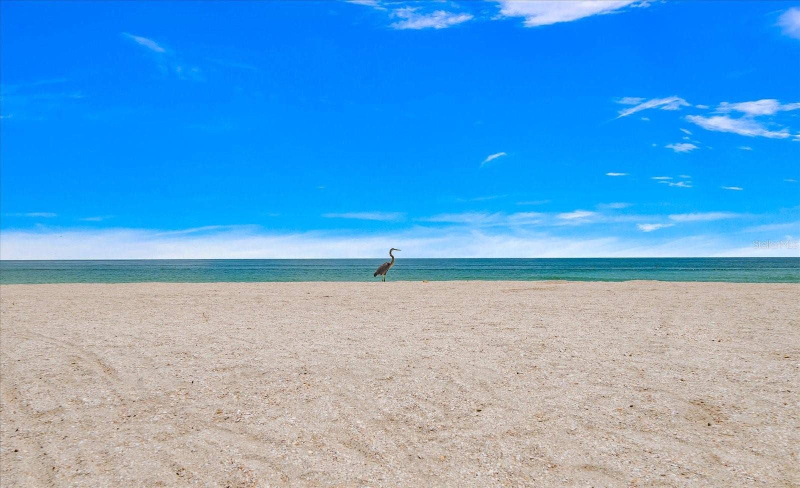 8405 BAYSHORE DRIVE, Treasure Island, FL 33706 8405 BAYSHORE DRIVE, Treasure Island, FL 33706