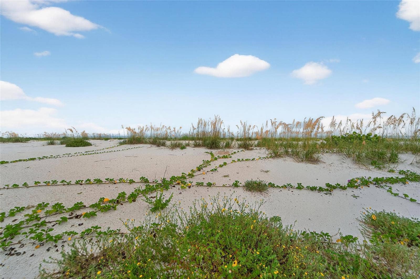 10178 GULF BOULEVARD, Treasure Island, FL 33706