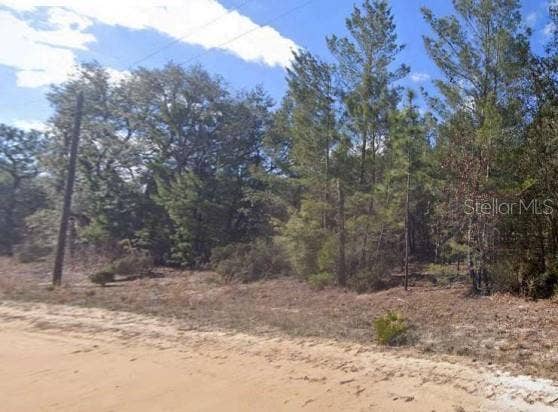 Property photo for UNASSIGNED RD, Interlachen, FL