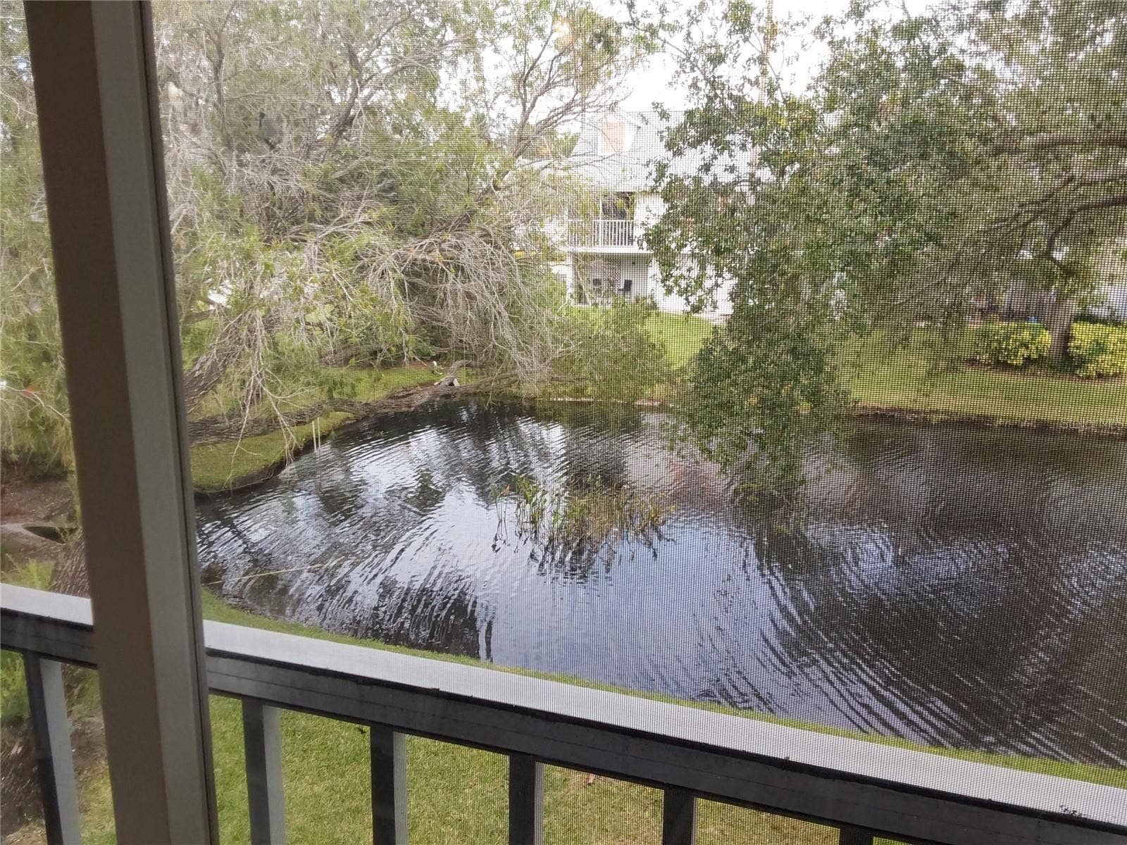 View of the pond area