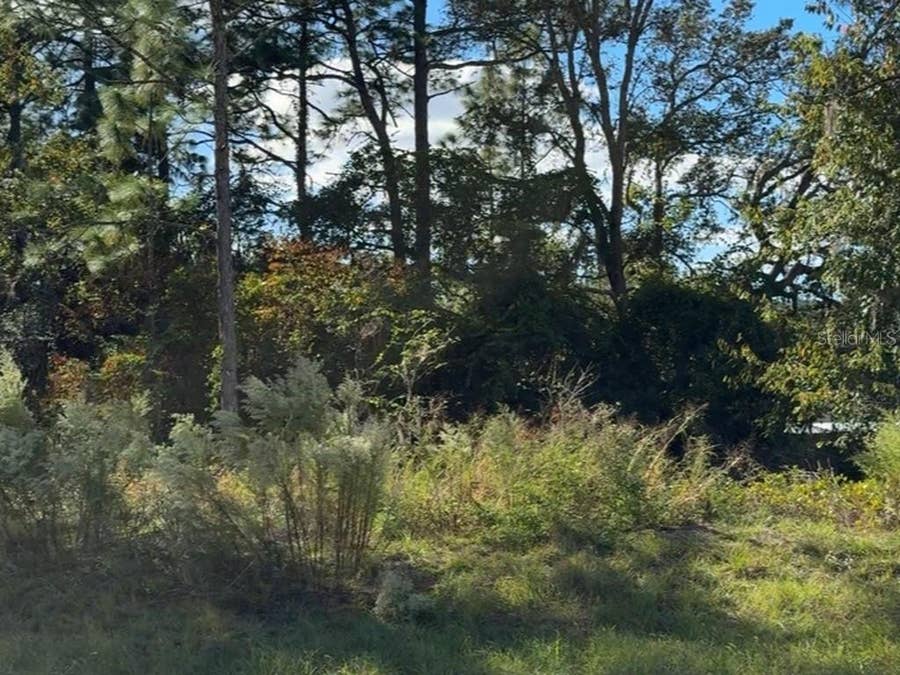 Property photo for 7800 N PRIMROSE DRIVE, Citrus Springs, FL