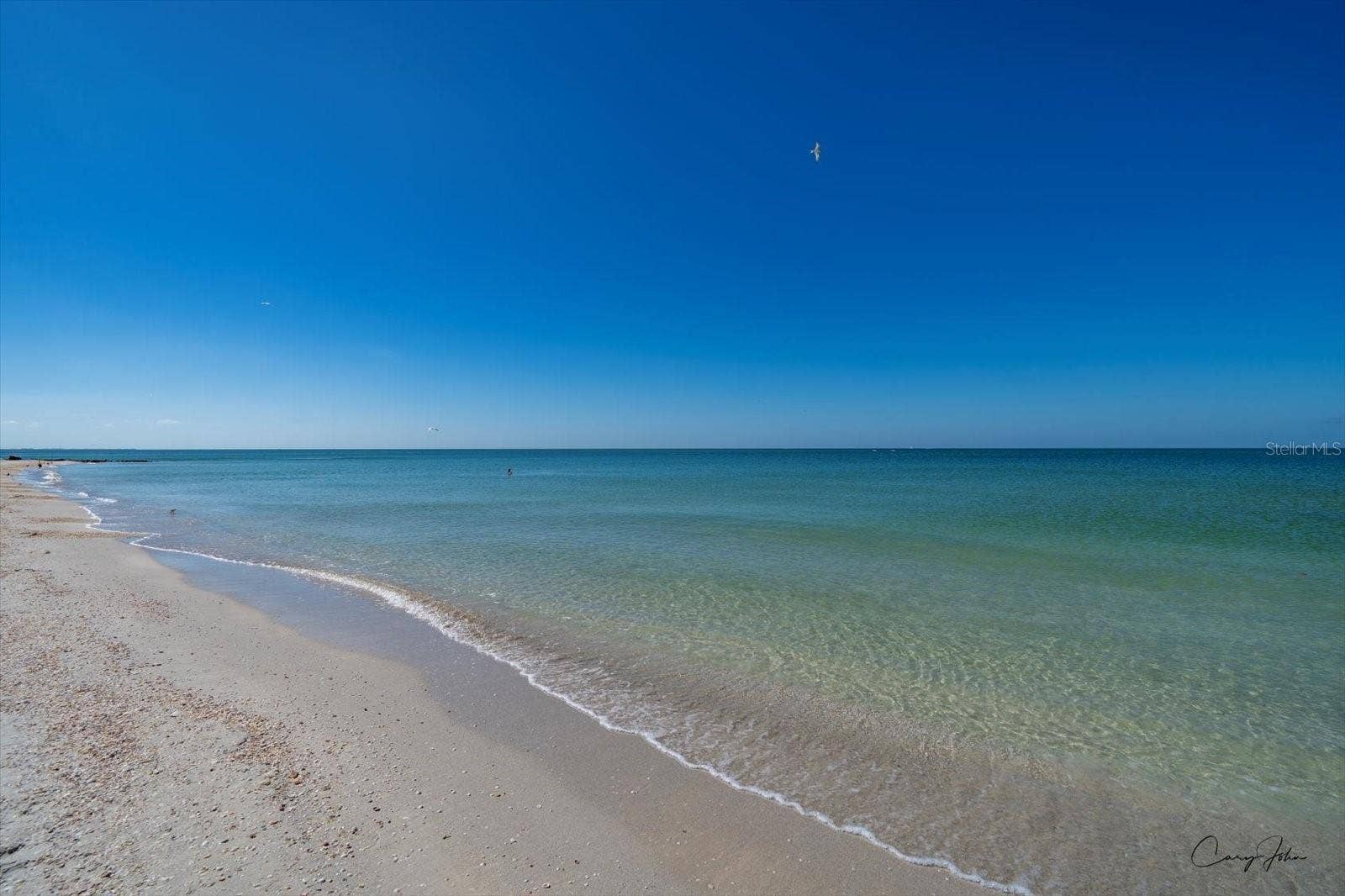 8200 BAYSHORE DRIVE, #9, Treasure Island, FL 33706 8200 BAYSHORE DRIVE, #9, Treasure Island, FL 33706