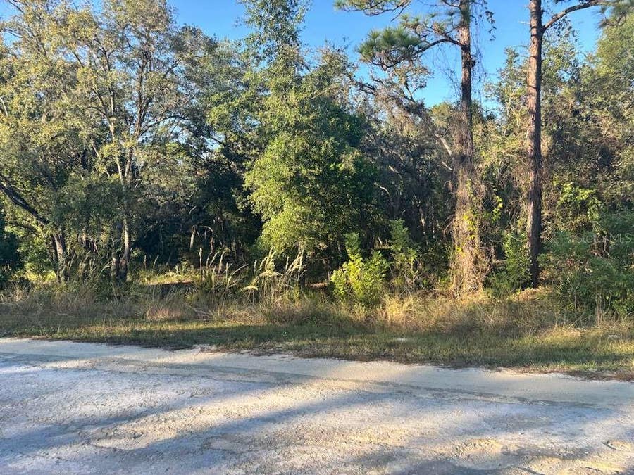 Property photo for 33193 EASTER DRIVE, Webster, FL