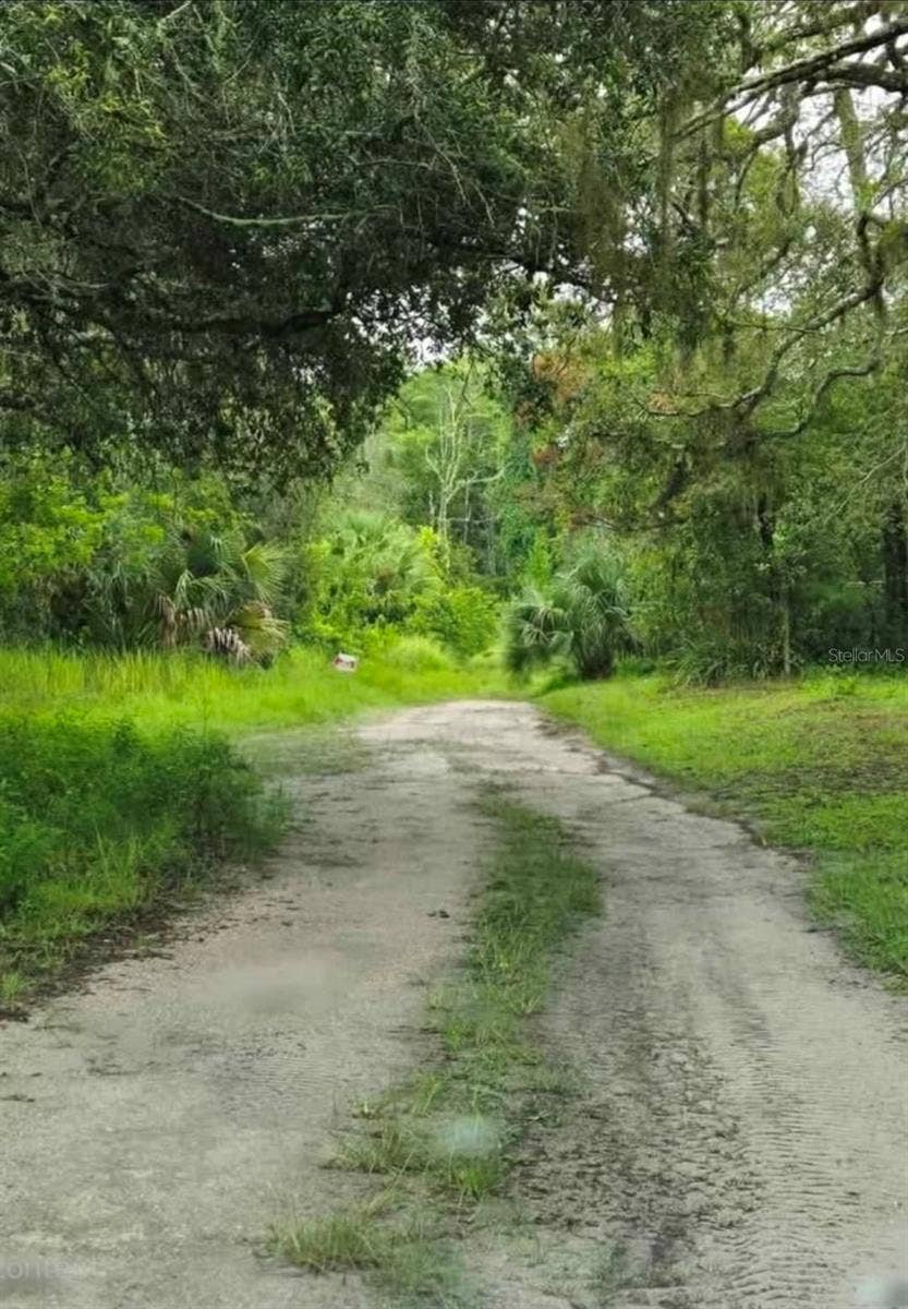 Property photo for LADD AVENUE, New Port Richey, FL