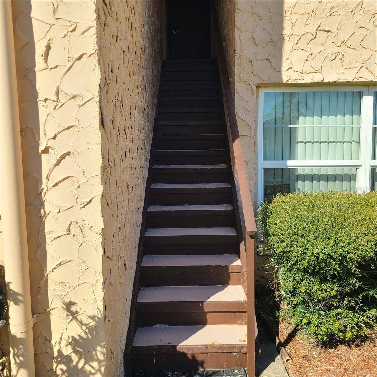 220 BUTTONWOOD CIRCLE, #220, Seminole, FL 33777 Backdoor stairway