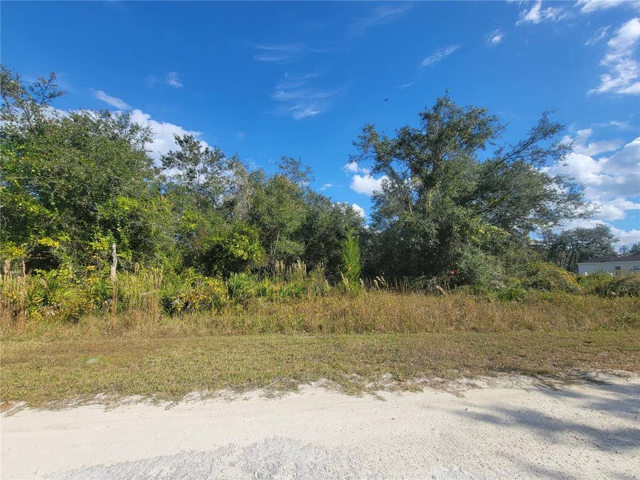 Property photo for 9460 ROUSSEAU STREET, Webster, FL