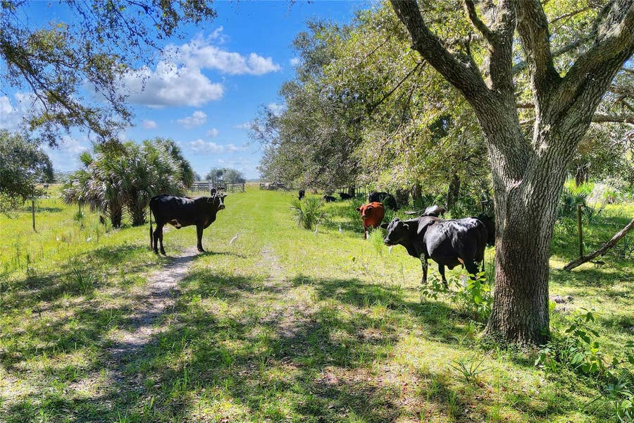 Property photo for 46891 FARABEE ROAD, Punta Gorda, FL