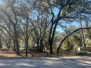 Property photo for 16222 LIVINGSTON AVENUE, Lutz, FL