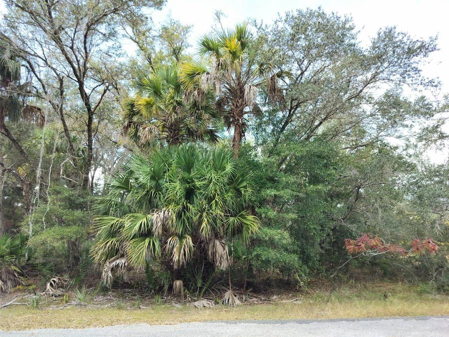 Property photo for 9999 N SNOWBALL POINT, Crystal River, FL