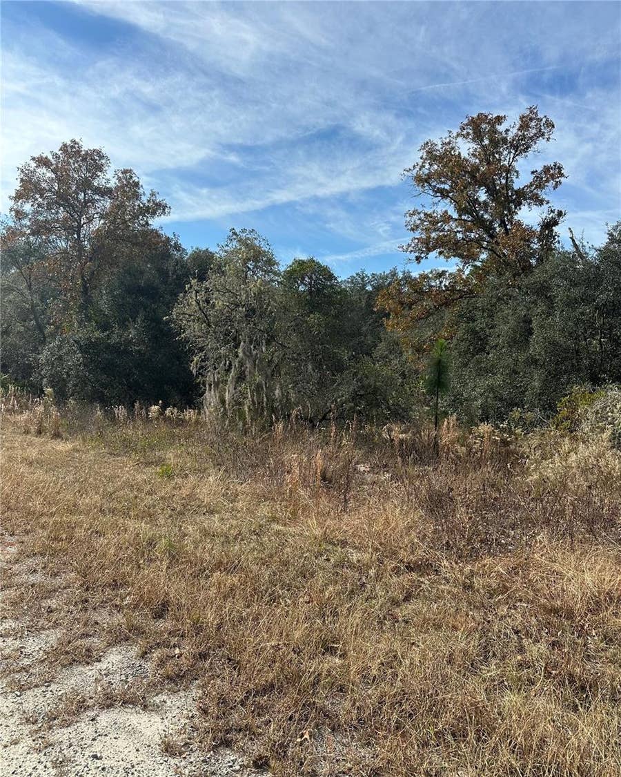Property photo for Lot 26 SE 133RD AVENUE, Dunnellon, FL