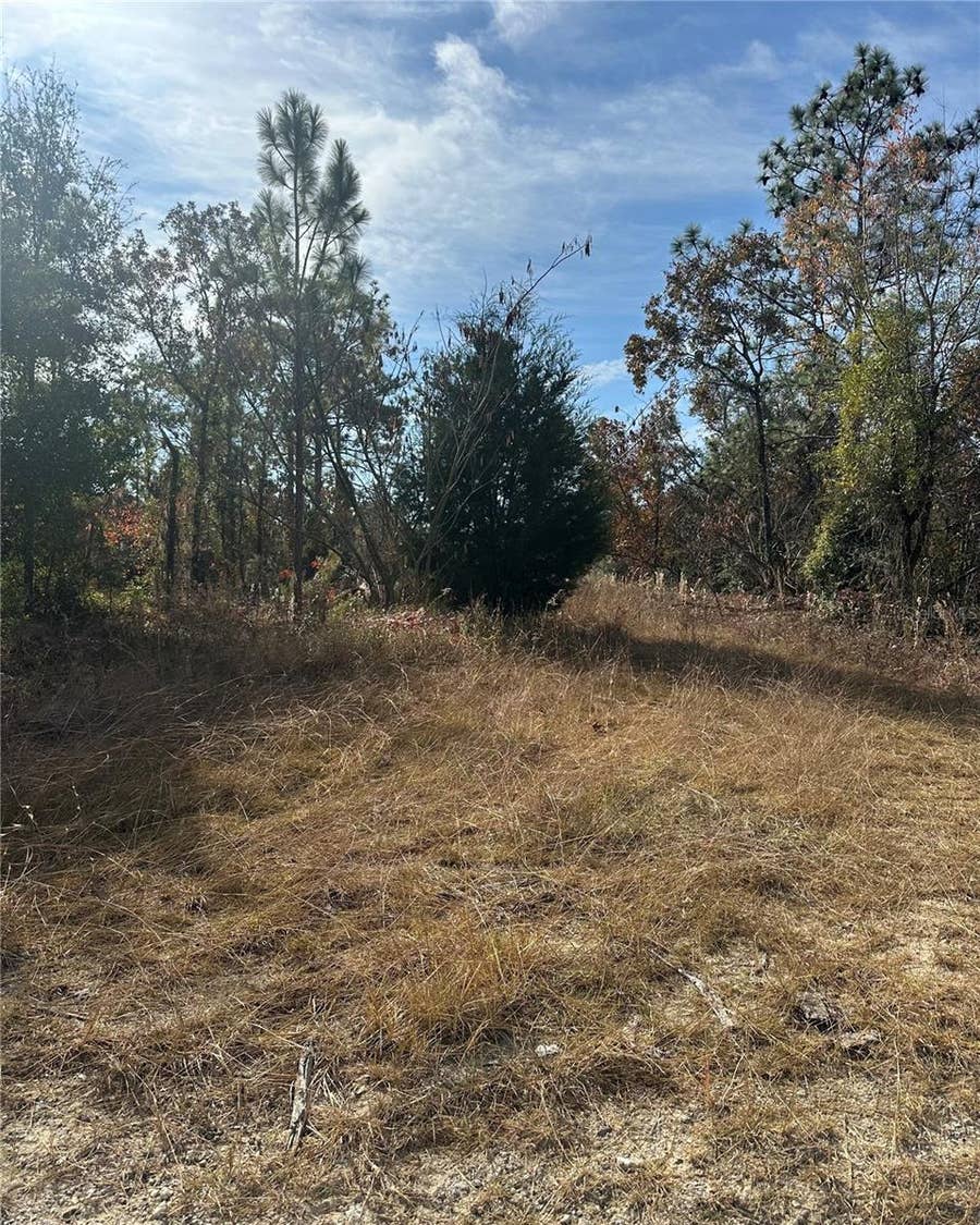 Property photo for Lot 2 NE 151ST TER, Williston, FL