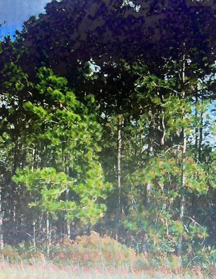 Property photo for SW 194 ST, ARCHER,FL 32618 - O4462-011-000, Archer, FL