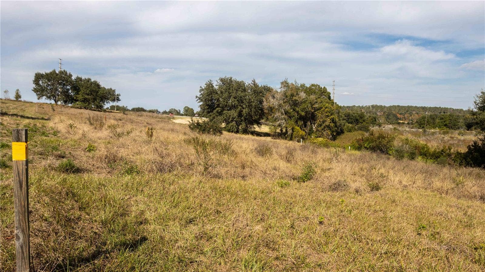 0 CHERRY LAKE ROAD, Groveland, FL 34736 0 CHERRY LAKE ROAD, Groveland, FL 34736
