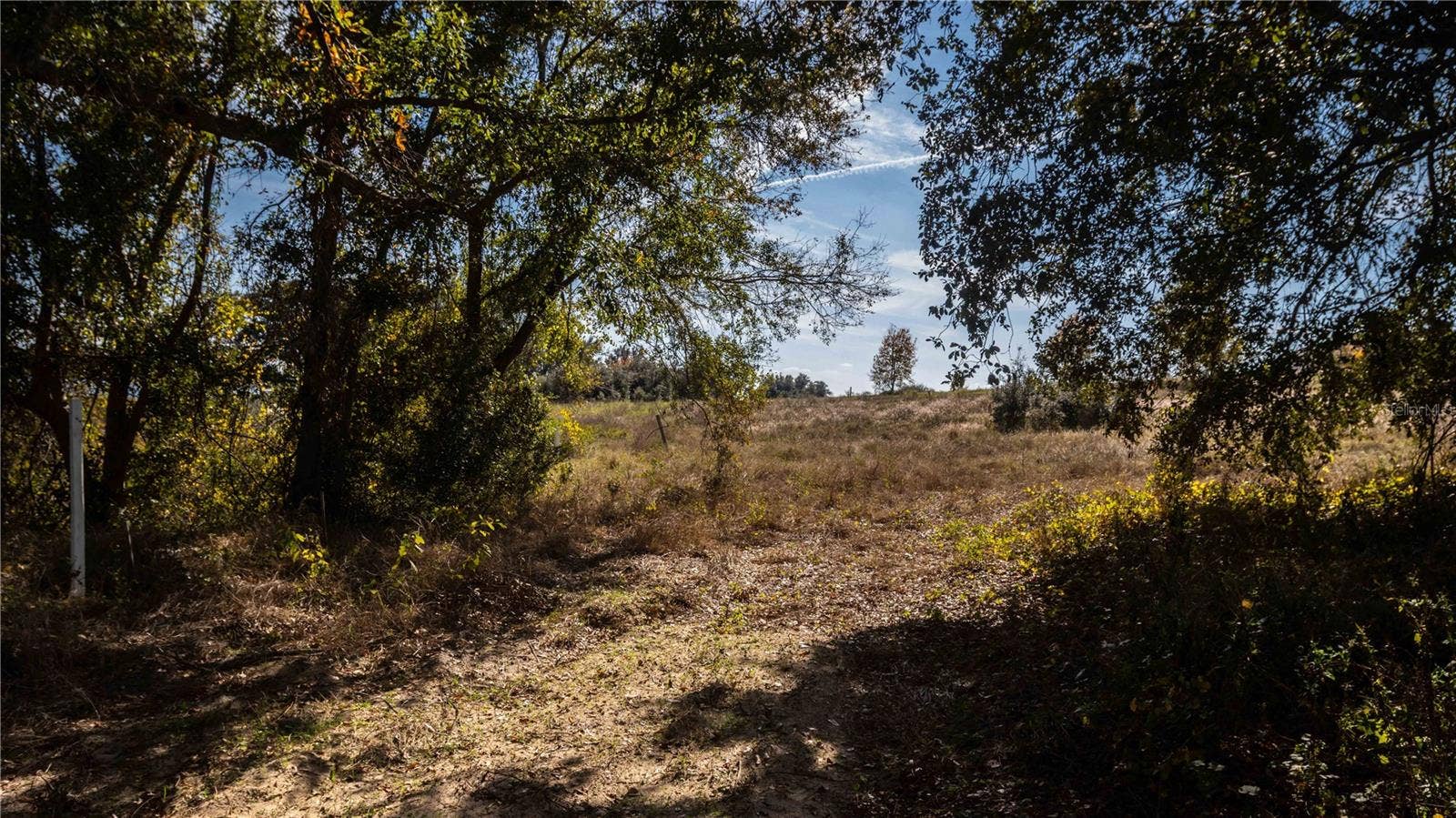 0 CHERRY LAKE ROAD, Groveland, FL 34736 0 CHERRY LAKE ROAD, Groveland, FL 34736