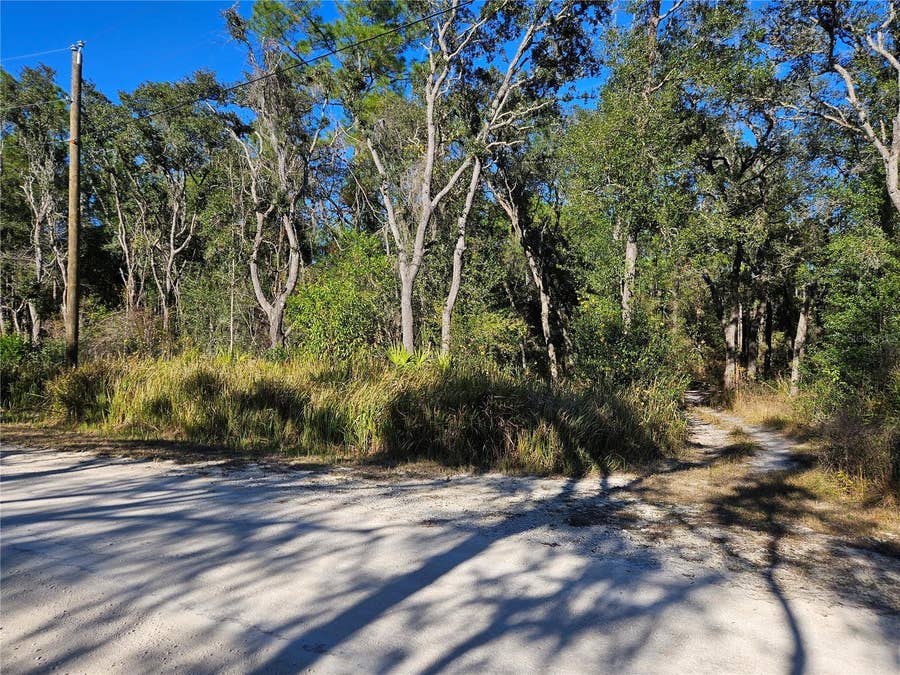 Property photo for BERRYHILL DRIVE, Webster, FL