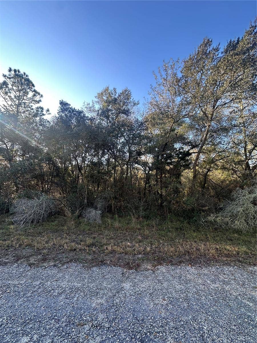 Property photo for 3908 W TROPIC LANE, Dunnellon, FL