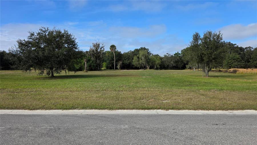 Property photo for 15311 FISHHAWK HEIGHTS RUN, Lithia, FL