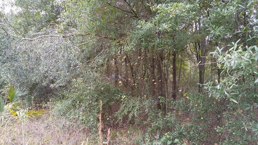 Property photo for ROLLING MEADOW, Land O Lakes, FL