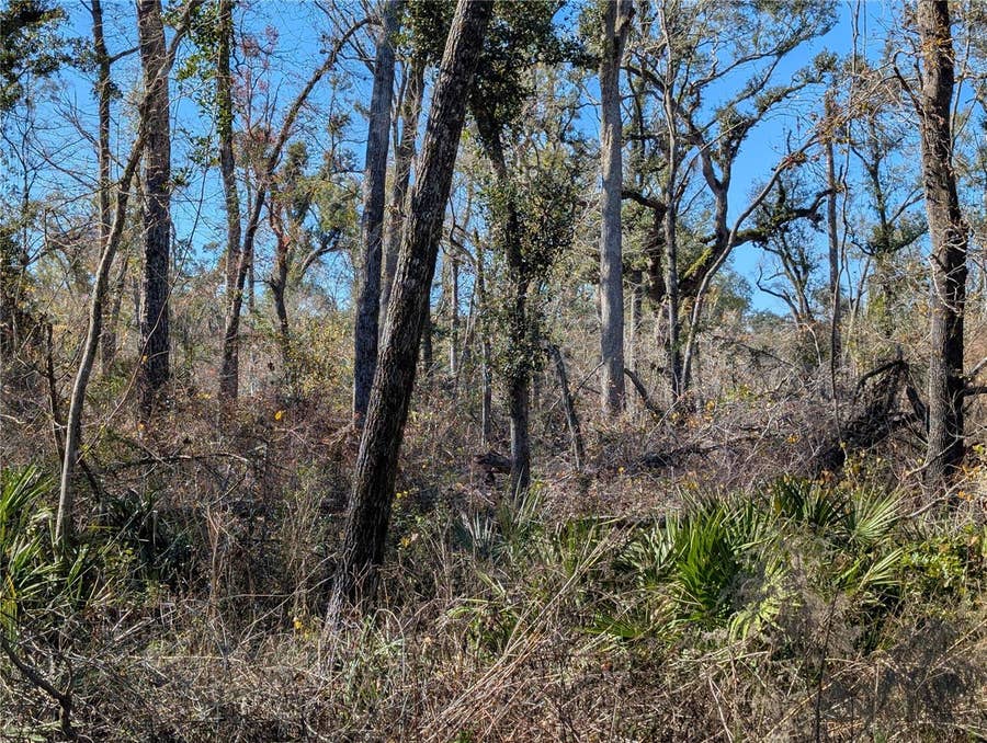 Property photo for NW FOX RUN TRAIL, #107, Mayo, FL