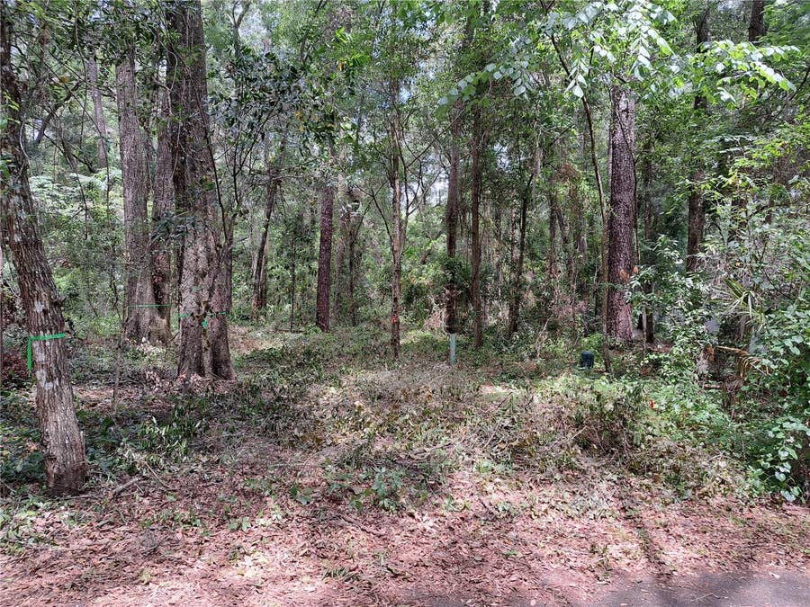 Property photo for 2164 SW 37TH COURT, Gainesville, FL