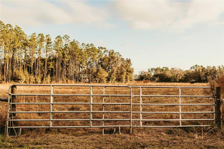 Property photo for 0 N DORMANY ROAD, Plant City, FL