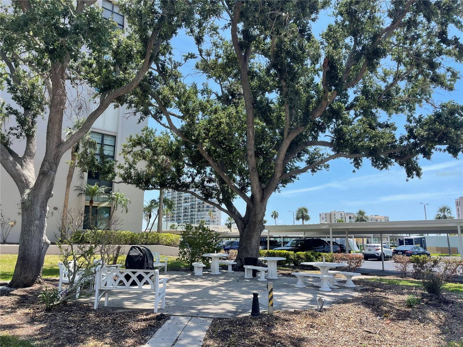 7910 SUN ISLAND DRIVE S, #203, South Pasadena, FL 33707 7910 SUN ISLAND DRIVE S, #203, South Pasadena, FL 33707