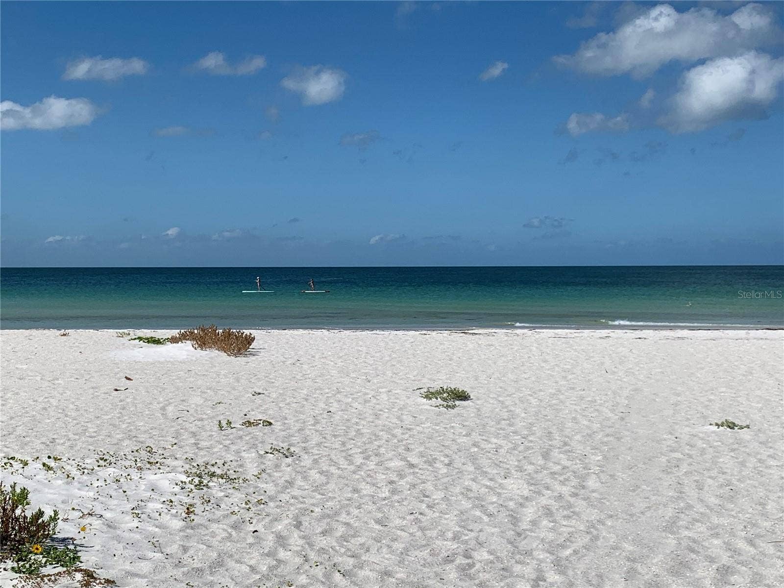 7910 SUN ISLAND DRIVE S, #203, South Pasadena, FL 33707 7910 SUN ISLAND DRIVE S, #203, South Pasadena, FL 33707