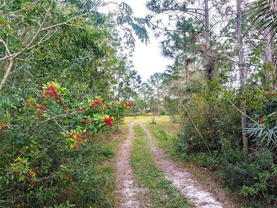 Property photo for 8590 130TH AVENUE, Fellsmere, FL