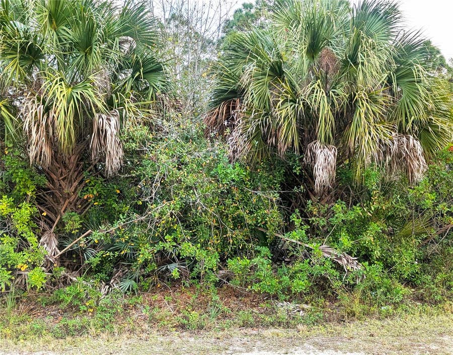 Property photo for 12885 86TH STREET, Fellsmere, FL