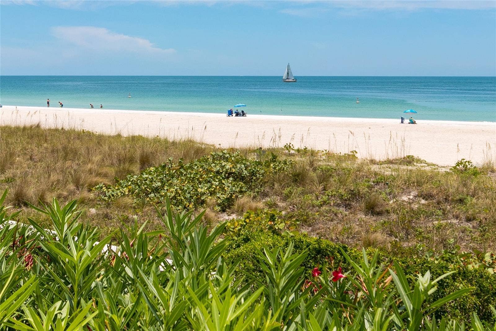 1380 GULF BOULEVARD, #805, Clearwater, FL 33767 1380 GULF BOULEVARD, #805, Clearwater, FL 33767