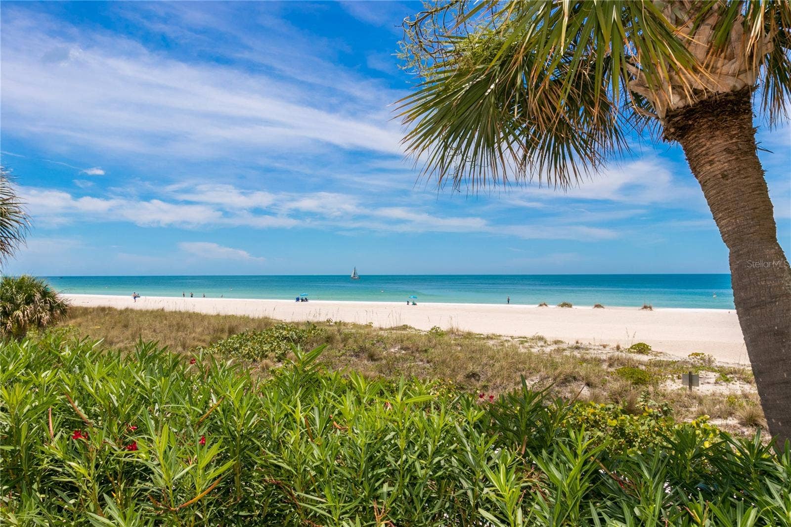 1380 GULF BOULEVARD, #805, Clearwater, FL 33767 1380 GULF BOULEVARD, #805, Clearwater, FL 33767