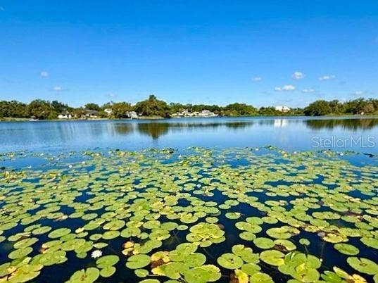 Property photo for 2814 W HUMPHREY STREET, Tampa, FL