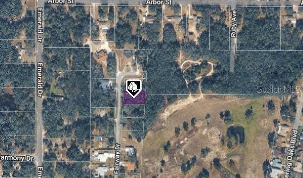 Property photo for 6176 FAIRWAY DRIVE, Ridge Manor, FL