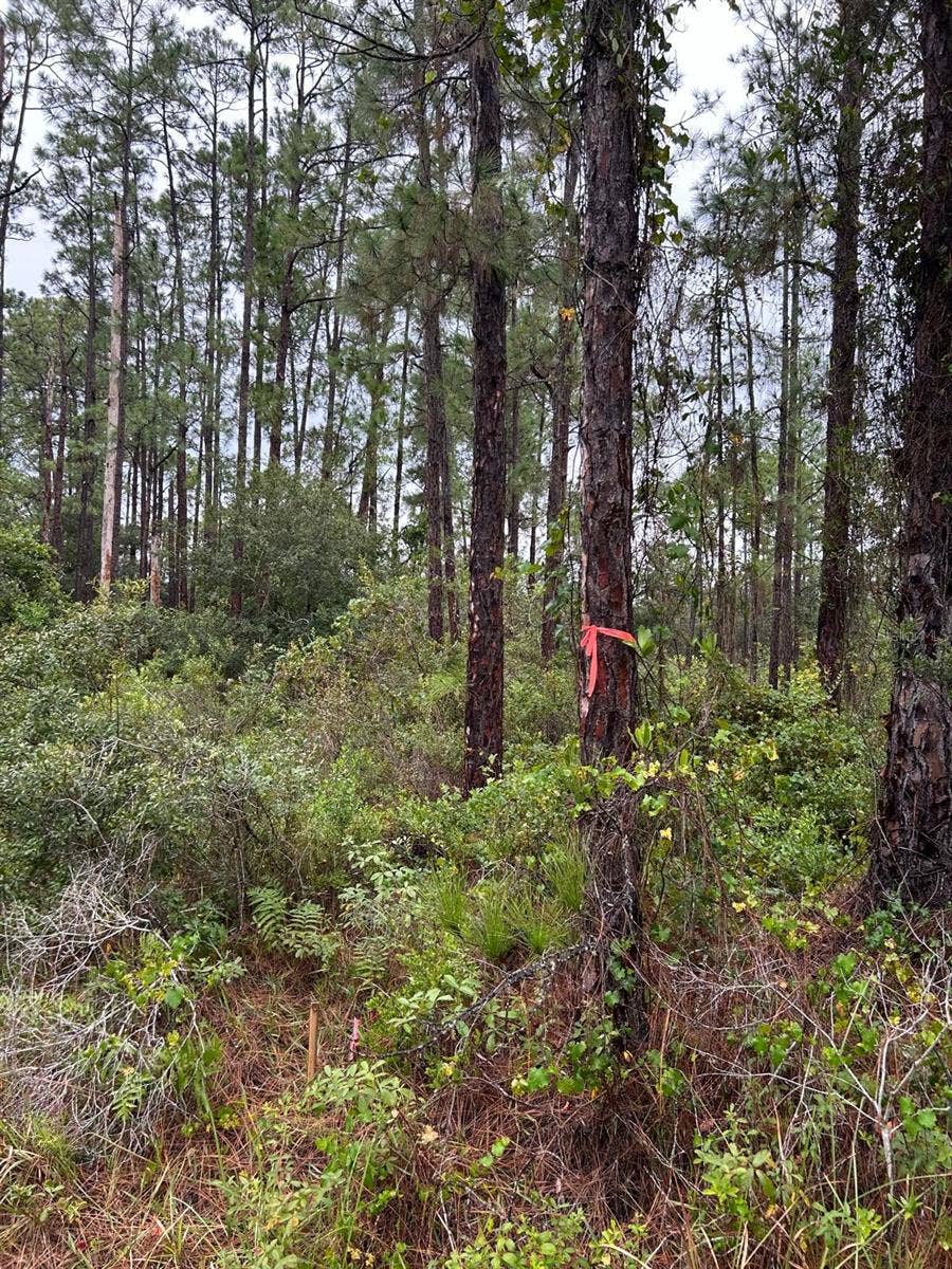Property photo for 216 BOUGAINVILLE DRIVE, Indian Lake Estates, FL