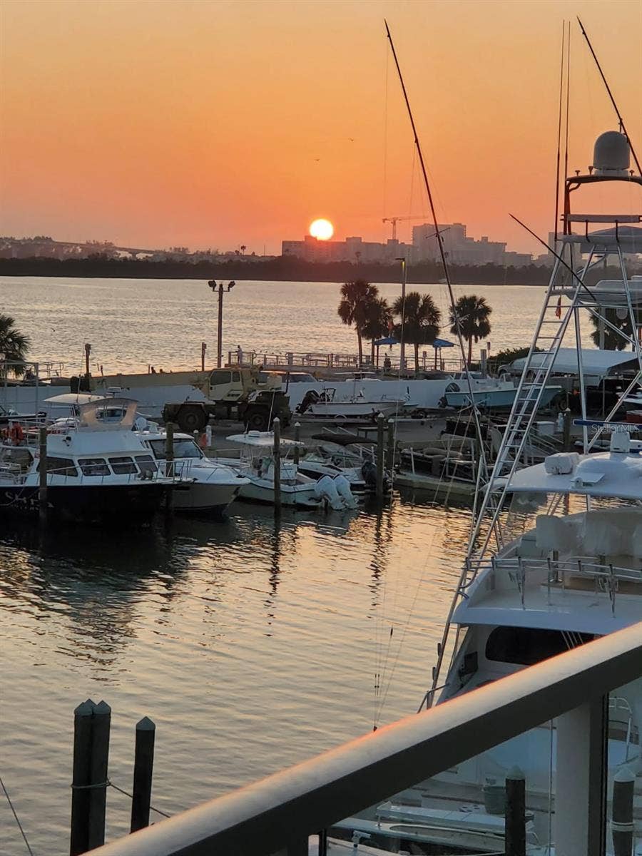 920 N OSCEOLA AVENUE, #307, Clearwater, FL 33755