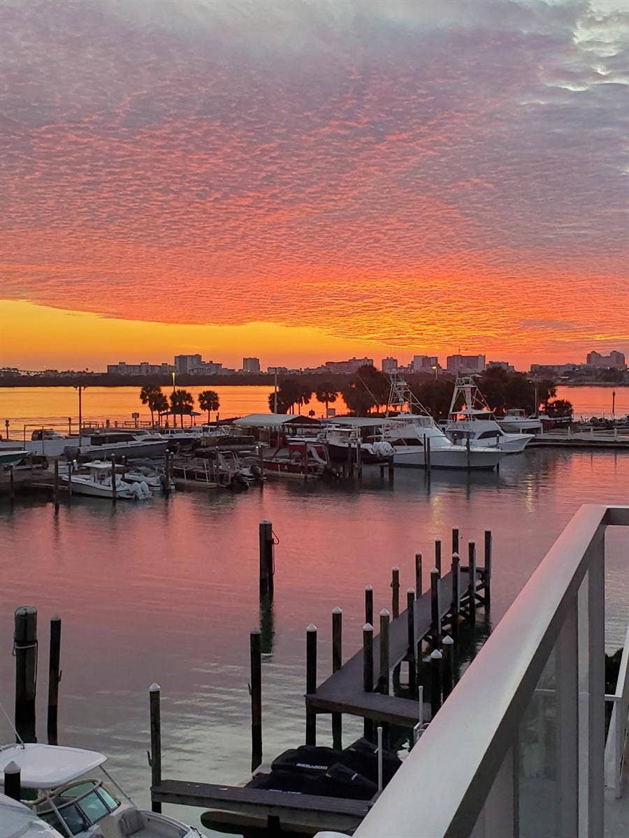 920 N OSCEOLA AVENUE, #307, Clearwater, FL 33755